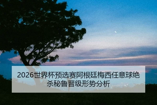 shi-jie-bei-yu-xuan-sai-a-gen-ting-mei-xi-ren-yi-qiu-jue-sha-bi-lu-jin-ji-xing-shi-fen-xi-2-693.jpg