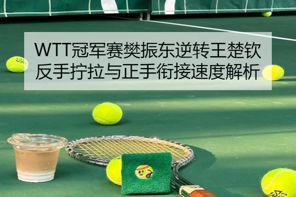 WTT冠军赛樊振东逆转王楚钦 反手拧拉与正手衔接速度解析