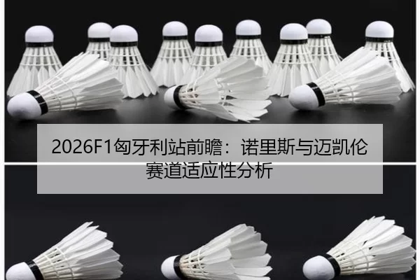 xiong-ya-li-zhan-qian-zhan-nuo-li-si-yu-mai-kai-lun-sai-dao-shi-ying-xing-fen-xi-2-550.jpg